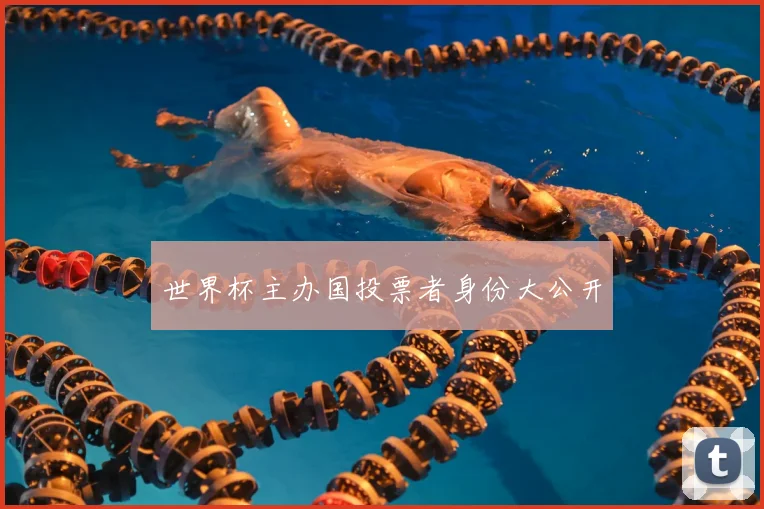 世界杯主办国投票者身份大公开