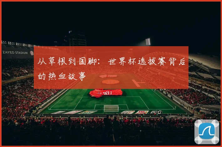 从草根到国脚：世界杯选拔赛背后的热血故事