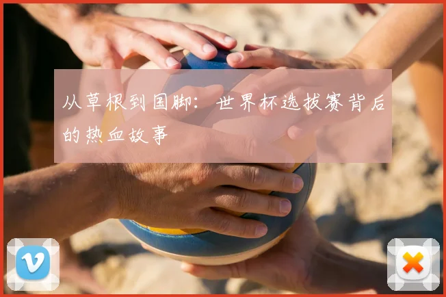 从草根到国脚：世界杯选拔赛背后的热血故事