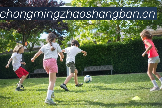 九游官网登录入口APP 体育赛事宣传图